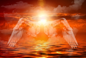 Angels of Mercy and Compassion - Engel der Gnade und des Mitgefühls