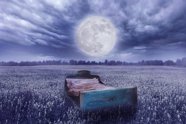 Moonlight Attraction Magic - magische Mondlichtanziehung