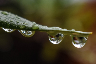Spiritual Rain Essence - Spiritueller Regen Essenz